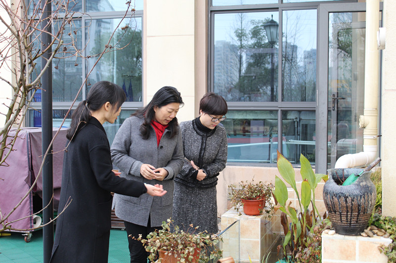 区教育局党委书记杨飞华一行莅临德培幼儿园巡视开学工作
