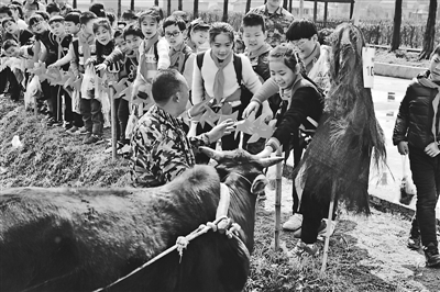 4471735_ds-qianyh_1552653833126_b.jpg