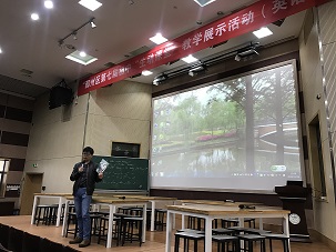 杨.jpg